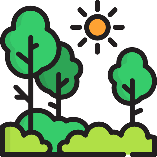 Nature Nature