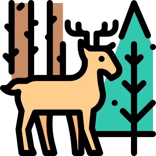 Les animaux Les animaux